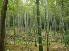 P1000684