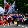 DS7_5370