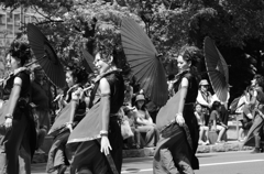 DS7_5101