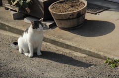 131123_kobe