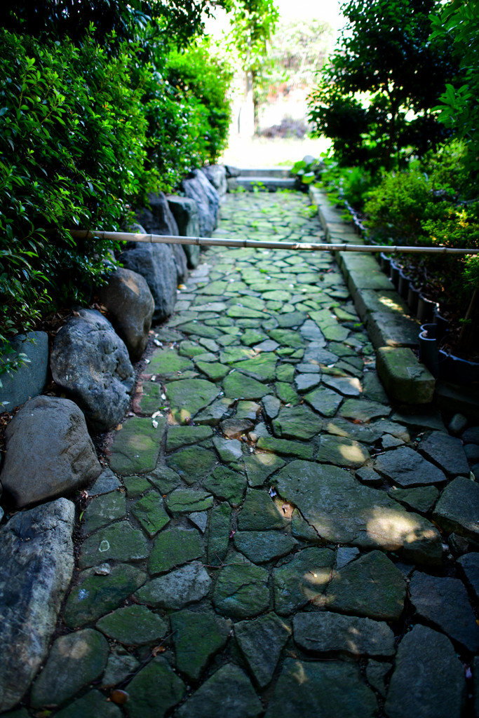 本門寺
