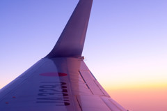 wing