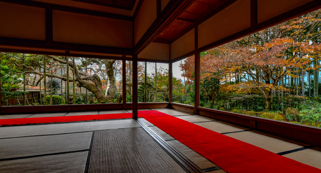 秋の宝泉院