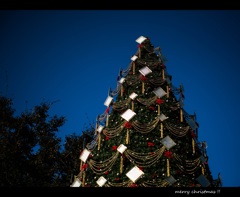 クリスマス