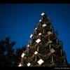 クリスマス