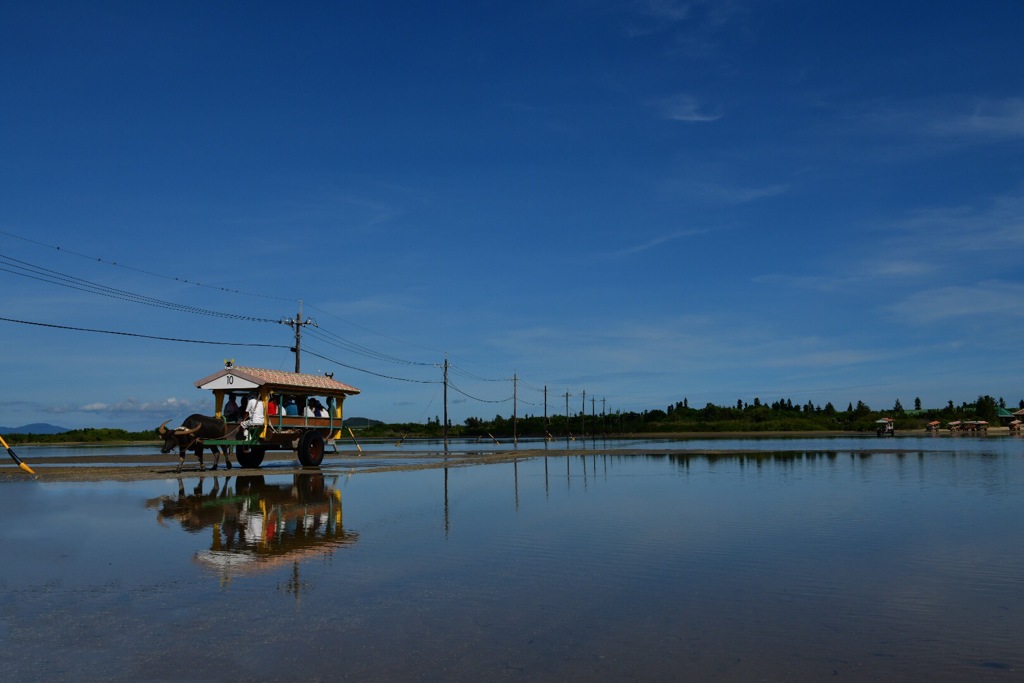 水牛車で渡る島