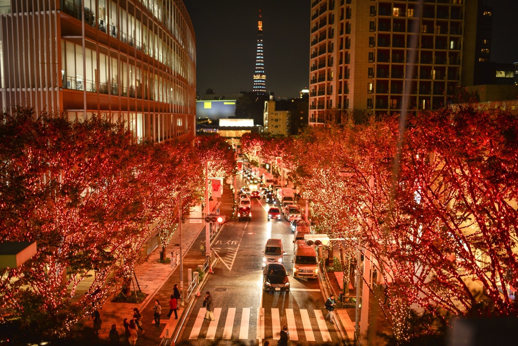 街の紅葉
