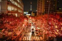街の紅葉