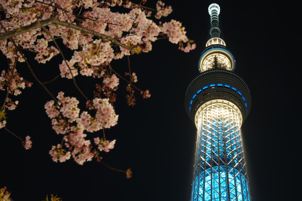 skytree