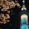 skytree