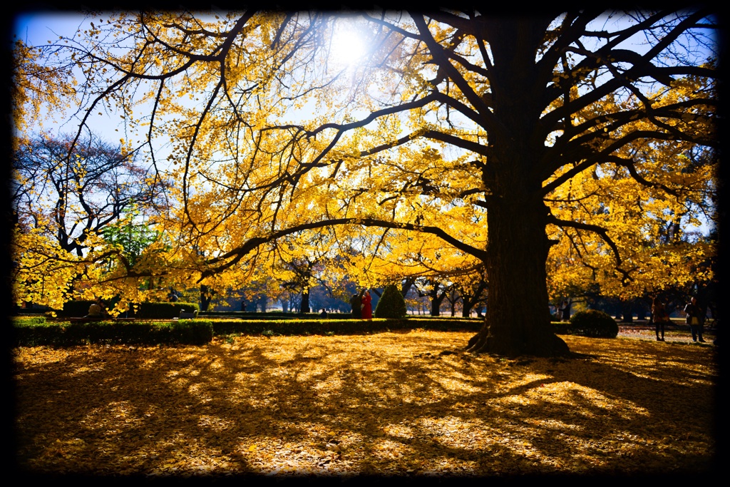 yellow