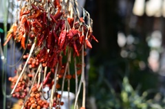 red pepper