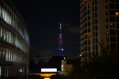 五輪仕様