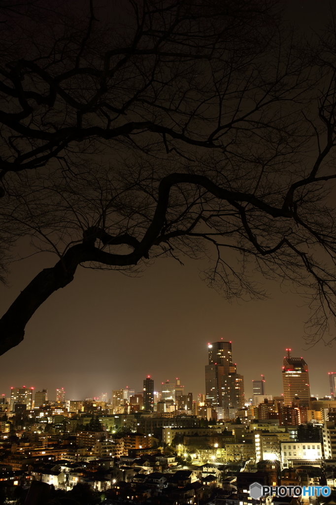 仙台夜景