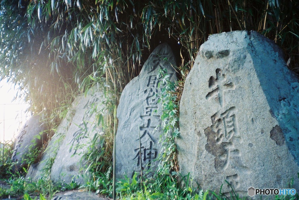 とある神社の片隅で