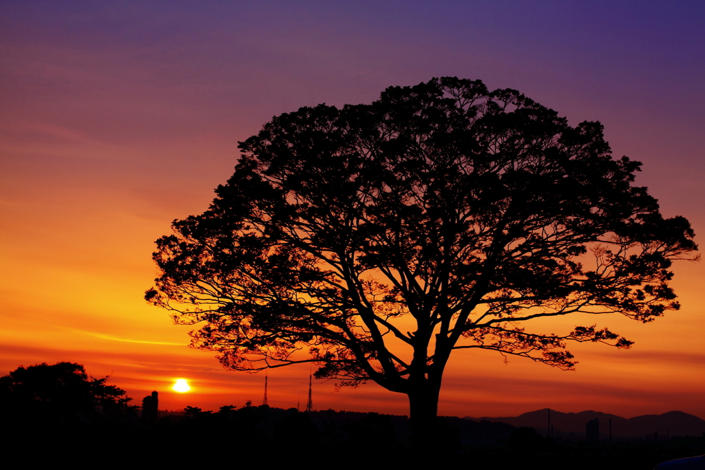 初夏の夕暮れ