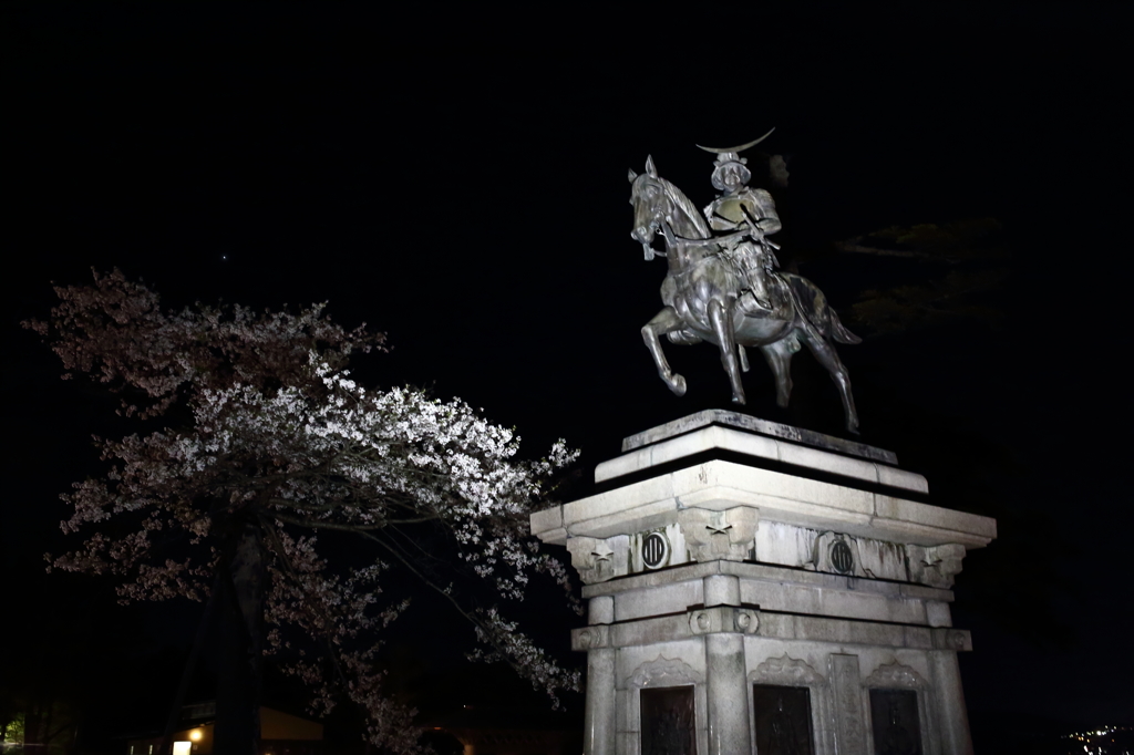 伊達の桜