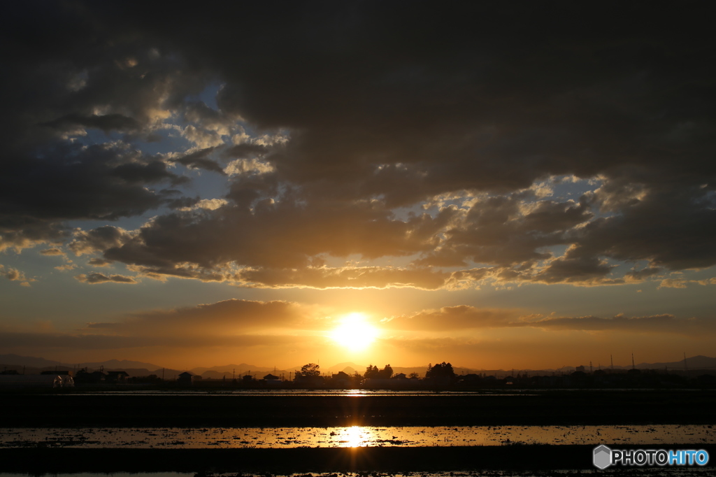 水田の夕暮れ