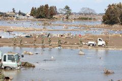 「東日本大震災.記録」