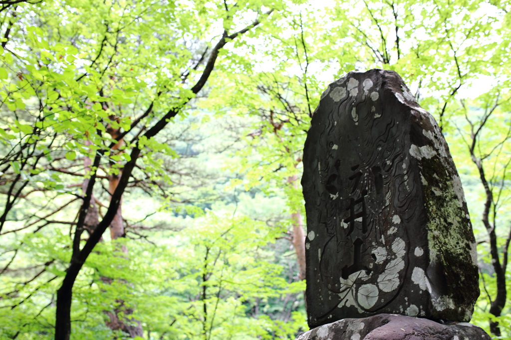 滝の神様