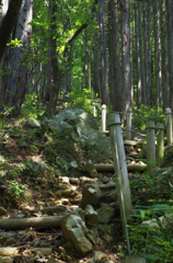 うねり登り道