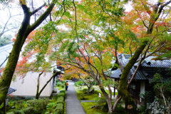 松尾寺DSC06431