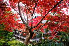 松尾寺DSC06362