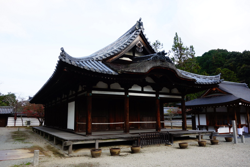 天野山金剛寺DSC02431