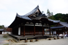 天野山金剛寺DSC02431