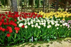 花壇DSC07938