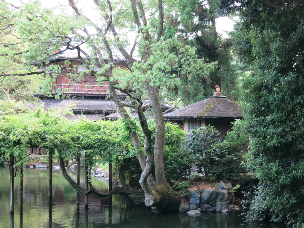 京都御苑　九条家　拾翠亭IMG_0806