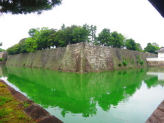 二条城　堀IMG_0106