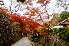 正暦寺DSC01031