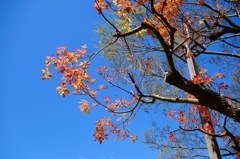 いい天気