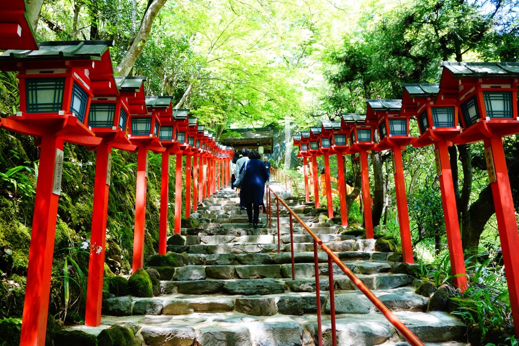 貴船神社　DSC04281