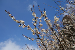 DSC02571