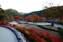 勝尾寺DSC00731