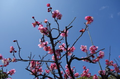 DSC01300