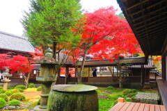 天野山金剛寺紅葉　令和元年IMG_0071