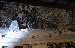 夜の雪景色