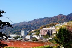 神戸六甲DSC06940