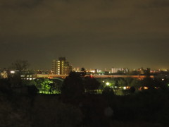 初冬の夜景IMG_4021