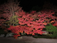 京　南禅寺IMG_3670
