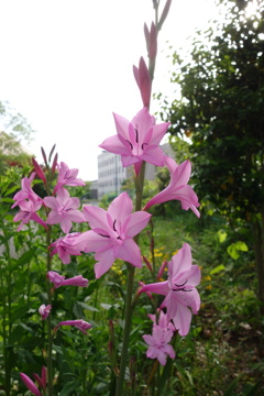 DSC08048