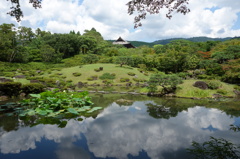 奈良　衣水園DSC02053