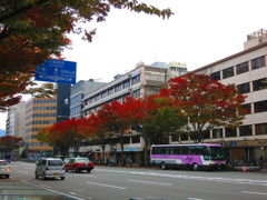 京の街角IMG_3232