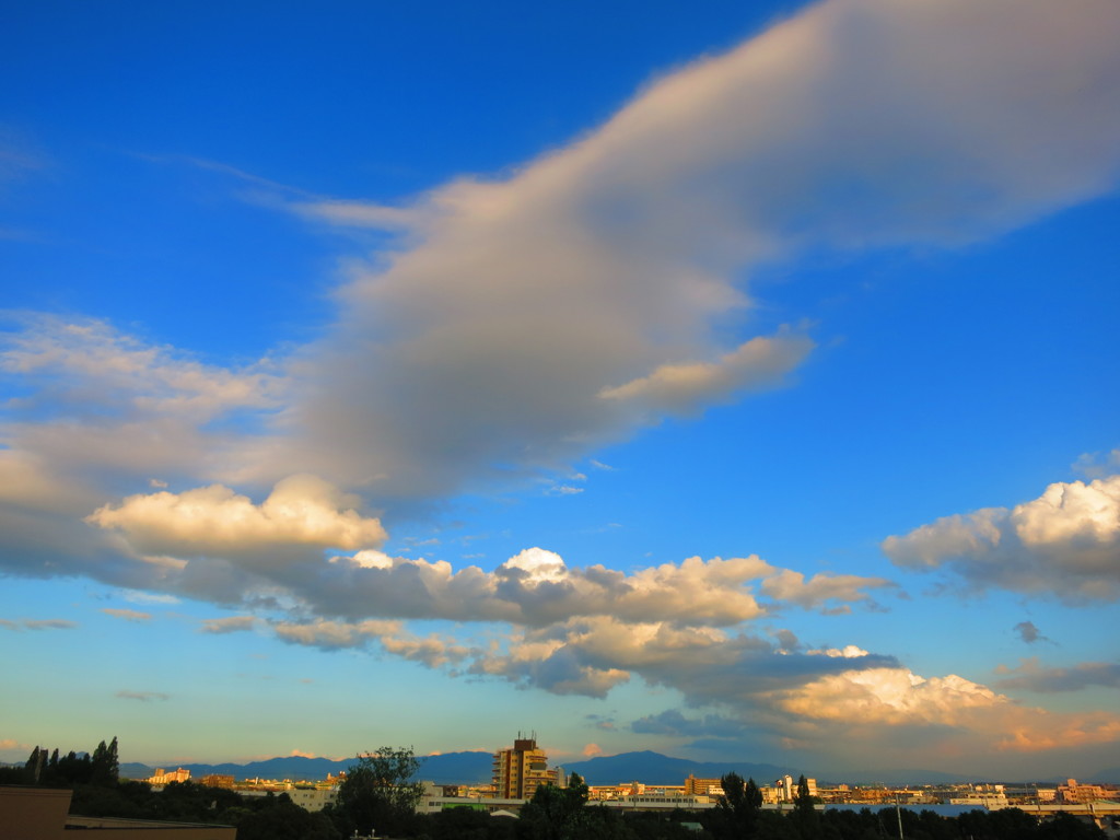 青空IMG_1605