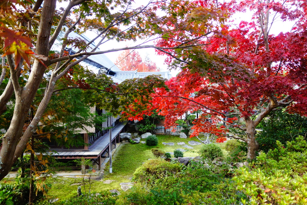 松尾寺DSC06352