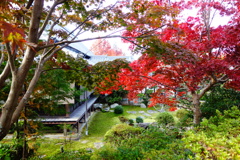 松尾寺DSC06352