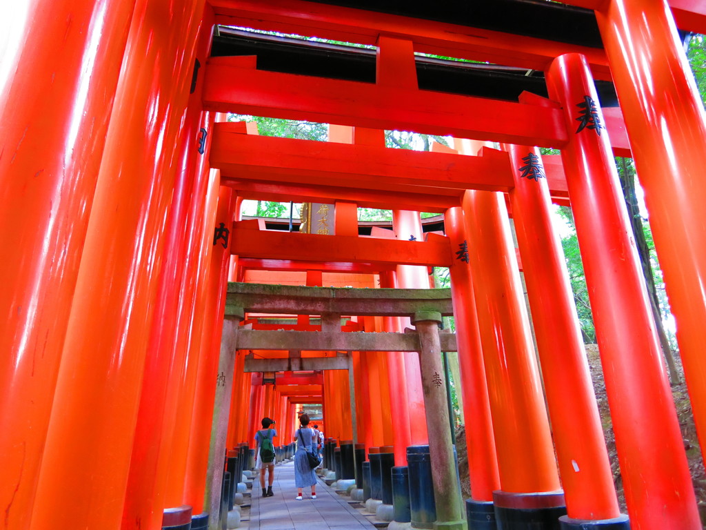 鳥居IMG_2453